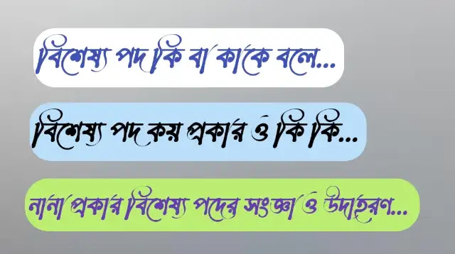 বিশেষ্য পদ কি বা কাকে বলে | বিশেষ্য পদ কয় প্রকার ও কি কি