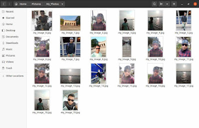 Renaming multiple image files in a folder using python at once.