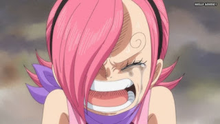 ワンピースアニメ WCI編 804話 ジェルマ66 レイジュ 幼少期 Vinsmoke Reiju | ONE PIECE Episode 804