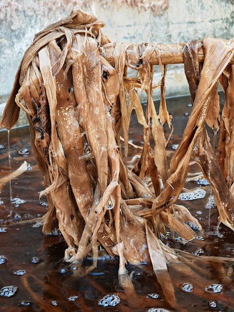 Jungshi_Handmade_Paper_Factory_Thimpu_Bhutan