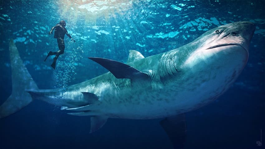 Режиссёр боевика «Рэмбо: Последняя кровь» снимет фильм ужасов про огромную акулу