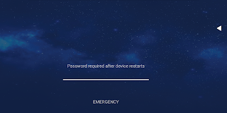 Screen that says Password required after device restart. The screen has that text underlined, with a blue background.
