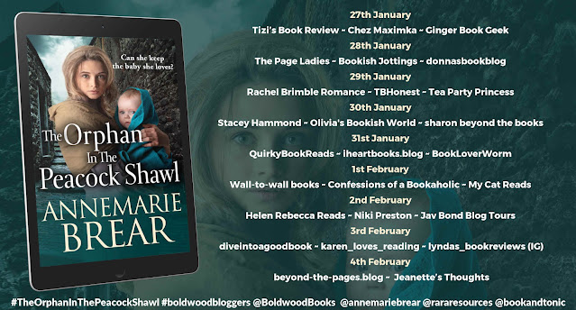 The Orphan in the Peacock Shawl by AnneMarie Brear blog tour banner