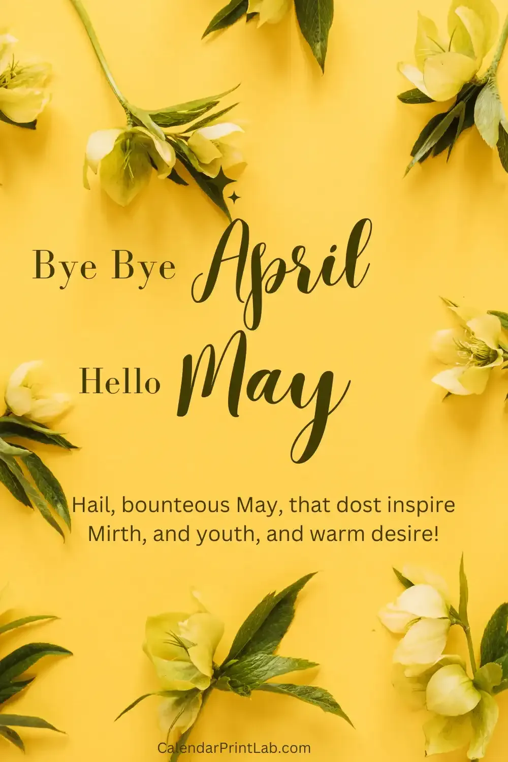 Hello May Month Quotes