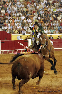 Morreu o "Mustang" um dos cavalos estrela da carreira de Luís Rouxinol 