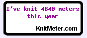 A textbox that says I've knit 4840 meters of yarn this year.