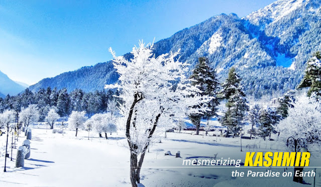 Kashmir package tour - NatureWings