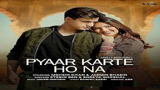 Pyaar Karte Ho Na Lyrics in English ( Meaning) – Stebin Ben | Shreya Ghoshal