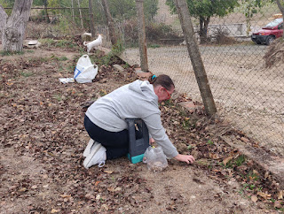 Angela plants bulbs. Lots of bulbs