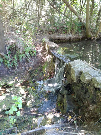 Libérez votre créativité naturelle, soufflez, respirez, vibrez...