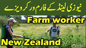 Tree Nursery Workers Required In New Zealand