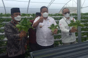 BI Sumut Perkuat Kemandirian Ekonomi Pesantren Melalui Hortikultura