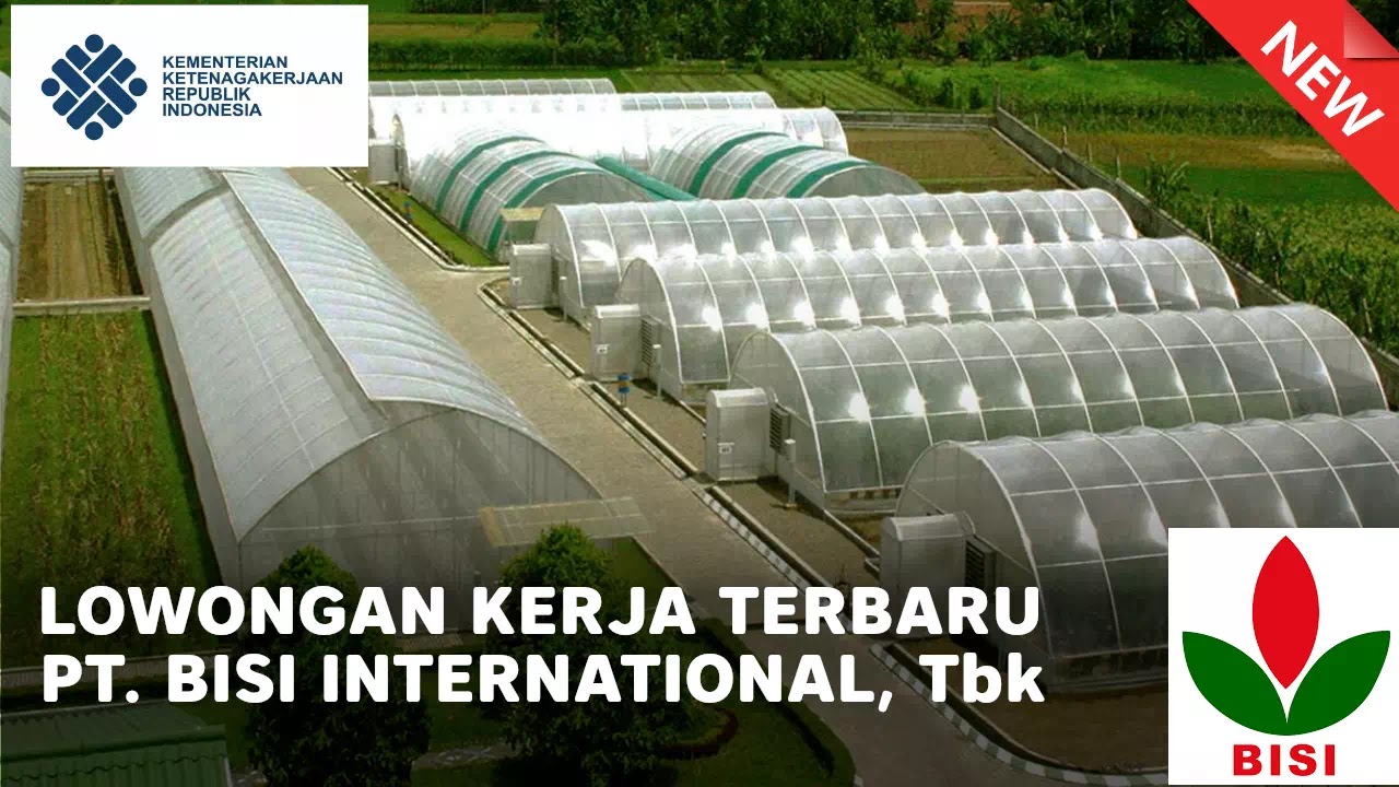 loker PT. Bisi International, Tbk terbaru