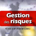 EXCELLENT LIVRE: GESTION DES RISQUES- Méthode d'optimisation globale "