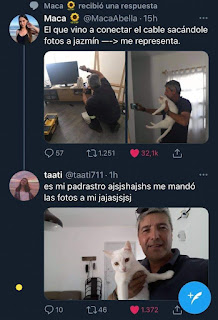 Twitter y el amor por los gatos