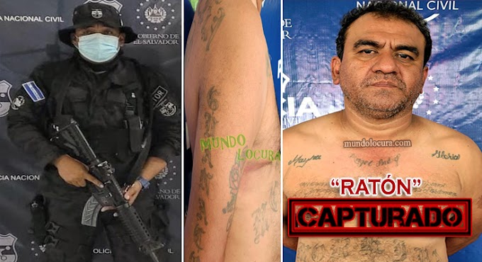 El Salvador: Policía captura a terrorista de la MS13 alias "Ratón" tras mantener asustados a los habitantes de San Miguel