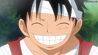 ワンピースアニメ ドレスローザ編 733話 ルフィ 笑顔 Monkey D. Luffy | ONE PIECE Episode 733