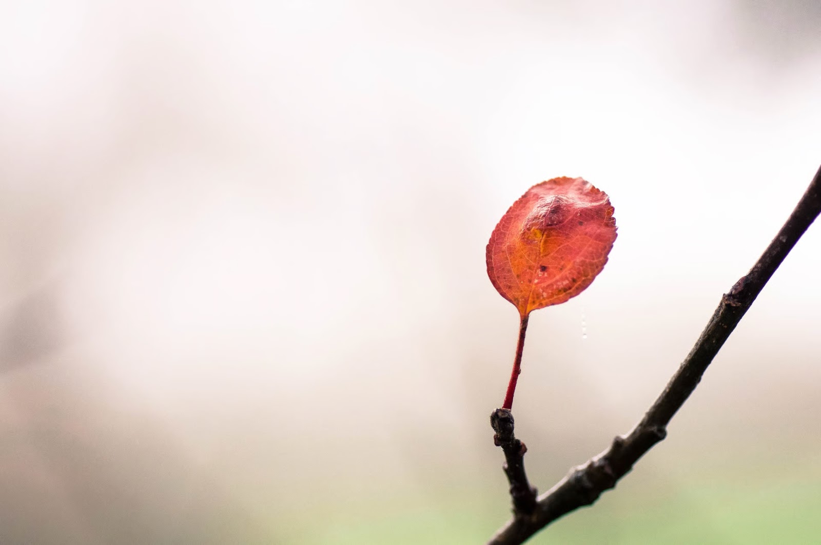 Slider Image 7