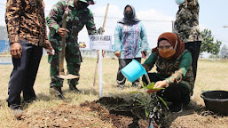 Amanah Wapres Ma’ruf Amin, Tanara dan Tirtayasa Dijadikan Sentra Buah Mangga