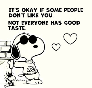 It’s okay if some people don’t like you. Not everyone has good taste.