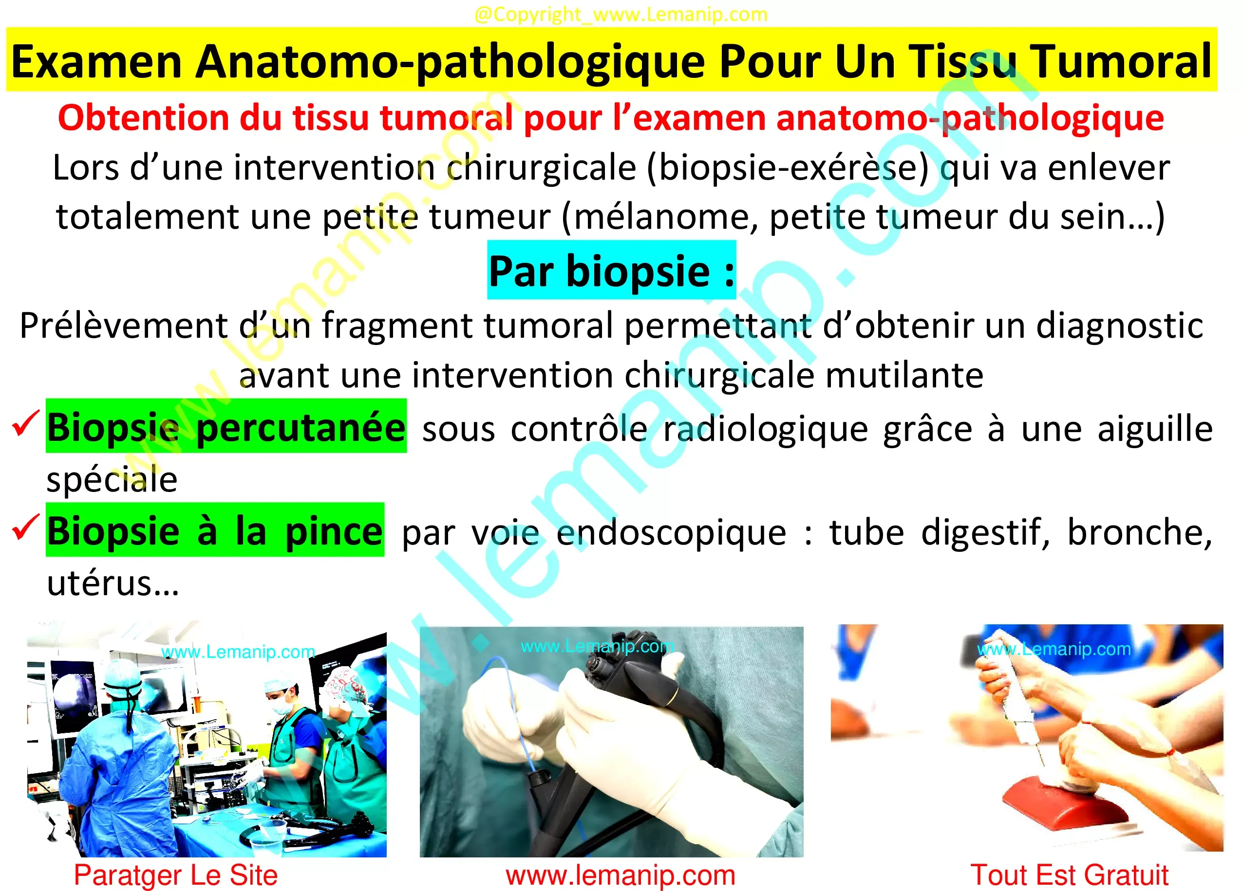 Examen Anatomo-pathologique Pour Un Tissu Tumoral
