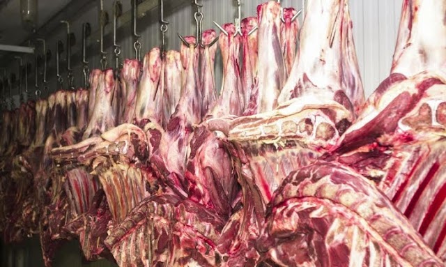 Indústria da carne brasileira paralisa exportações após anúncio de tarifa norte-americana