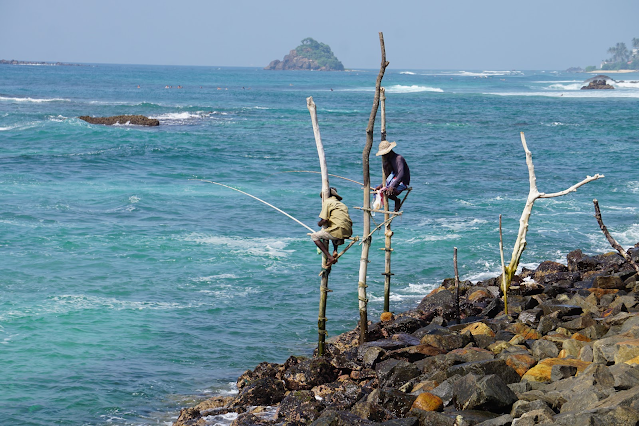 pescadores sobre estacas do Sri Lanka