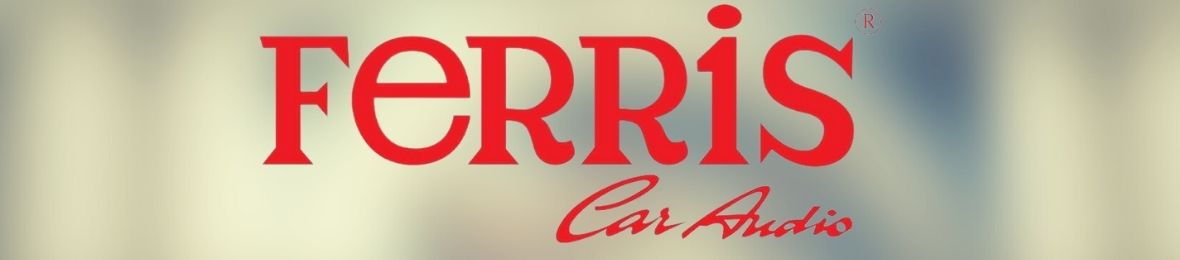 มิติใหม่ ferris
