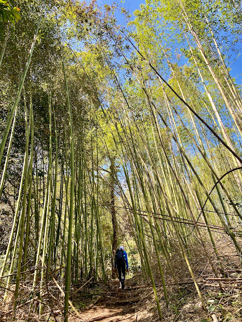 獵人古道