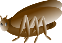 The beetle shape is made up of brown ovals