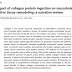 O impacto da ingestão de proteínas de colágeno na remodelação do tecido conjuntivo musculoesquelético: uma revisão narrativa.