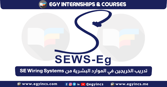برنامج تدريب الخريجين في الموارد البشرية من شركة SE Wiring Systems مصر HR Internship