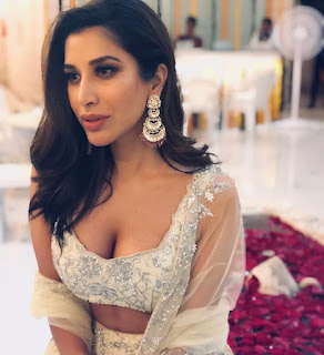 Hottest Sophie Choudry Sexy Hot Bikini HD Wallpapers Free Download Navel Queens