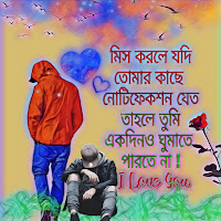 ভালোবাসার দুঃখের সাইরি | sad shayari bengali | notun notun shayari | love bangla shayari