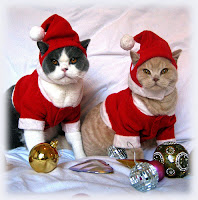 Disfraces de gatos para Navidad