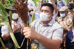  Plt Bupati Bintan Targetkan Kabupaten Bintan Menjadi Centra Tanaman Sorgum di Indonesia
