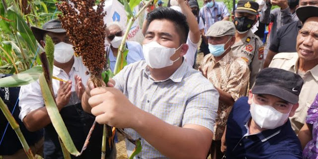 Plt Bupati Bintan Targetkan Kabupaten Bintan Menjadi Centra Tanaman Sorgum di Indonesia