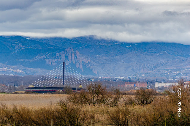 Embalse de Las Cañas. Viana