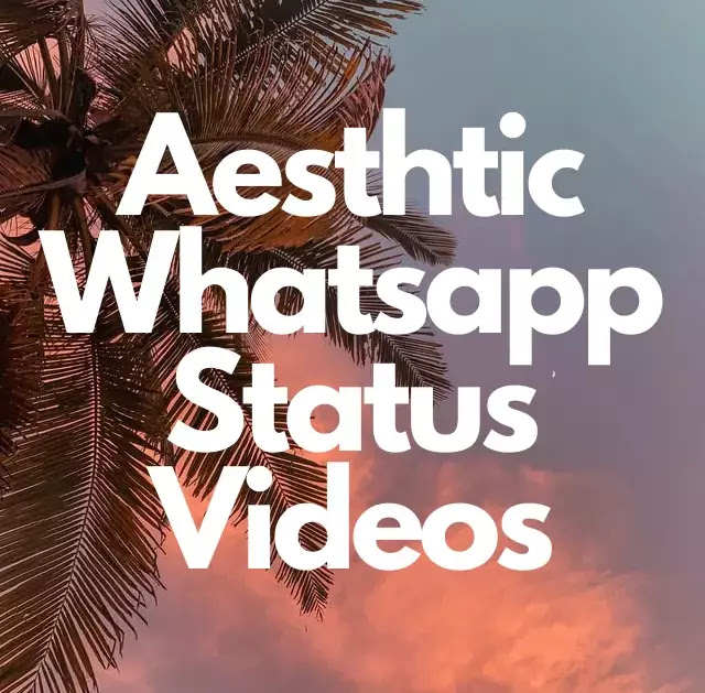 Aesthetic Whatsapp Status Video