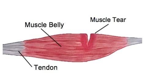 8 Reasons You May Weigh More After A Workout