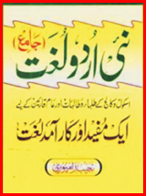 Nai Urdu Lughat by Najeeb Rampuri