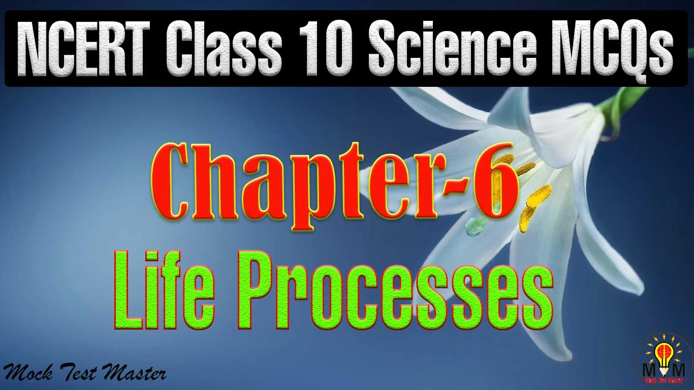 life processes class 10 MCQ online test