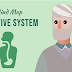 Digestive System Mind Map