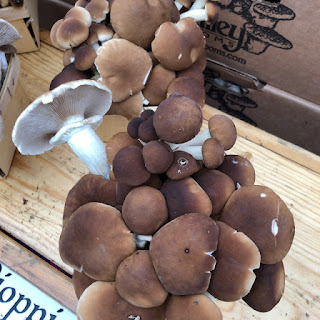 Velvet Pioppini Mushrooms with Fat Raisins in Bulgur Wheat