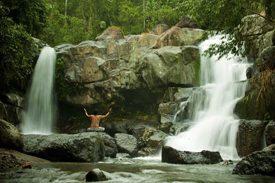 Dibiwen Falls Cabarroguis Quirino Province