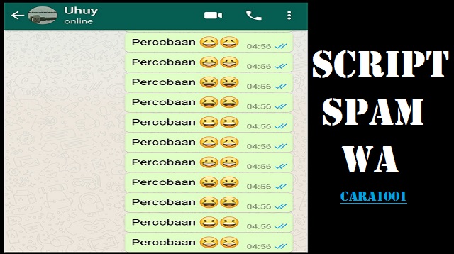 Script Spam WA