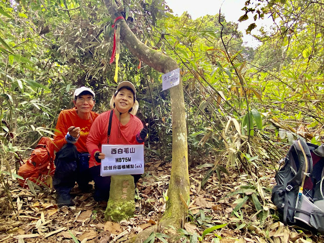 西白毛山