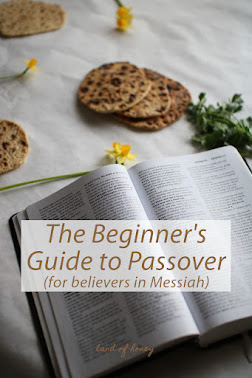 The Beginner's Guide to Passover