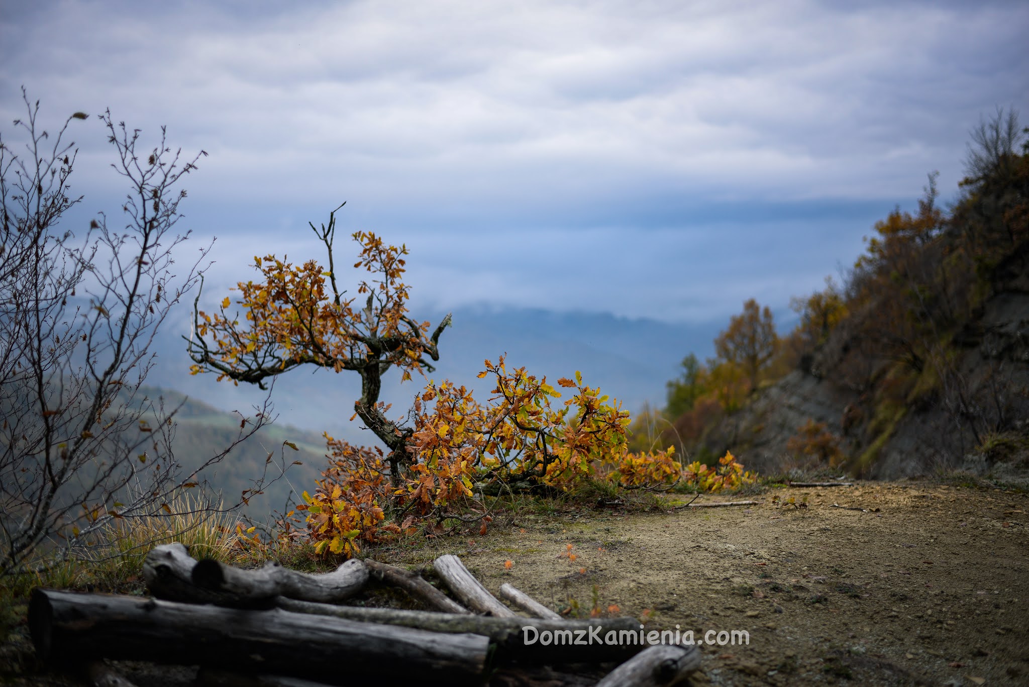 Dom z Kamienia warsztaty, Marradi trekking, Lozzole