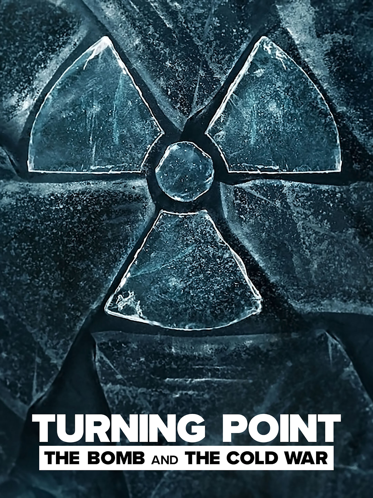 Turning Point: The Bomb and the Cold War review